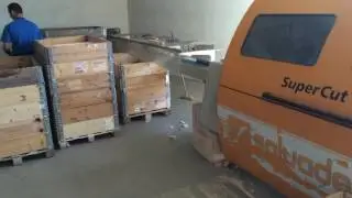 Automatic cross cutting Salvador