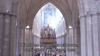 Wie in de schaduw Gods mag wonen - Uitzending KRO-NCRV Eucharistieviering Basiliek Hulst, 15-09-2024