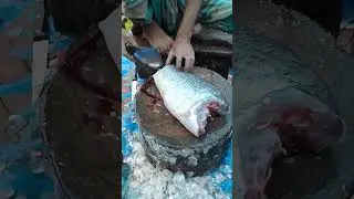 giant fish cutting skills 🐟 #cuttingvideo #fishcutting #fishcuttingskills