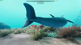 Game Showcase: Beyond Blue