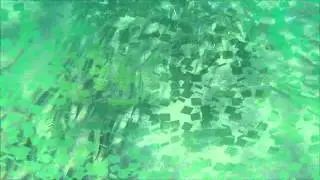 free dive florida