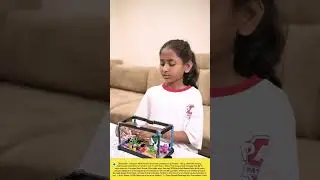 #complan #proteinforgrowingkids #milkpowder #chocolatemilk #vitamins #nutrients