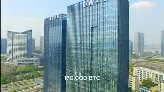 The top holders of bitcoin 