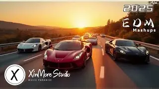 EDM Festival 2025 | Ultra Music Festival 2025 | Best Electronic Dance Music Remixes 2025 MEGAMIX