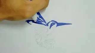 How to draw a bird
