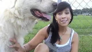 Bernie Berlin Kickin' It With Her Pooches Part 3