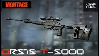 Warface - Orsis T-5000 Montage