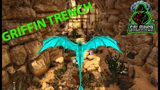 CRYSTAL ISLES GRIFFIN TRENCH LOCATION AND WHAT TO EXPECT!!!