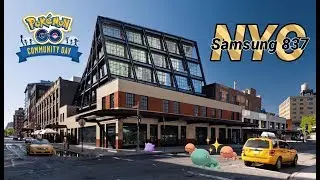Trapinch community day ft. Mystic7 & PkmnMasterHolly