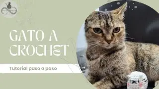 Amigurumi Gatito Fácil | Ideal para Principiantes | Patrón Gratis 🐱