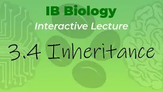 [OLD2016] IB Biology 3.4 - Inheritance - Interactive Lecture