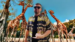 Сафари-парк на Майорке 🚗🦓 Поехали всей семьёй / Жека Махмутов | VLOG