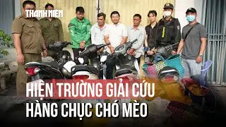 Công an TP.HCM giải cứu kịp thời nhiều chó mèo bị 