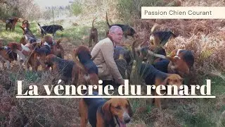 Chasse à courre au renard avec l'équipage des Beaux Couverts