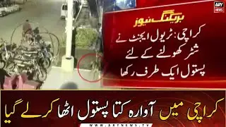 Karachi: Stray dog picked up the pistol