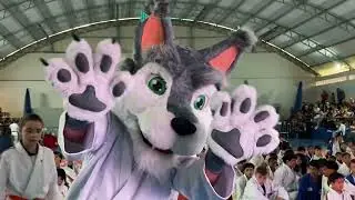 Cerimônia de Entrega de Faixa 2025!