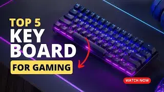 Top 5: Best Budget Gaming Keyboards in 2023 [Best for Gaming]