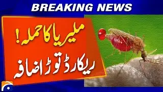 𝗠𝗮𝗹𝗮𝗿𝗶𝗮 𝗢𝘂𝘁𝗯𝗿𝗲𝗮𝗸 𝗦𝗽𝗿𝗲𝗮𝗱𝘀 𝗥𝗮𝗽𝗶𝗱𝗹𝘆 | Worst Surge on Record Across Regions | Breaking News