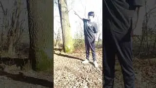 Shin Beta Capsule test