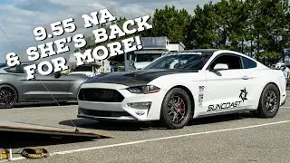 She Went 9.50s NATURALLY ASPIRATED & Now She's Back With BOOST! | Leticia's 2018 MUSTANG GT!