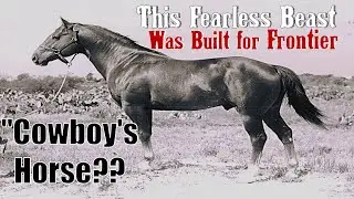 This Fearless Beast Was Built for Frontier.