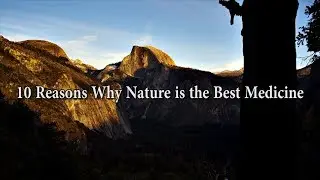 10 Reasons Why Nature is the Best Medicine