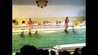 Otaru Aquarium, Отару, Хоккайдо, Япония