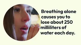 Amazing Human Body Facts