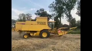 New-Holland TX66 harvesting in Holland