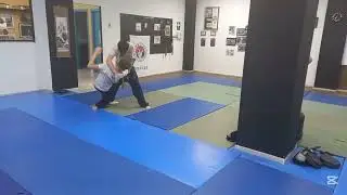 Sin balance no hay t&eacute;cnica | Juniors entrenando Hapkido Moo Hak Kwan