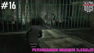 SLEEPING DOGS #16 - BONGKAR HUMAN TRAFFICKING