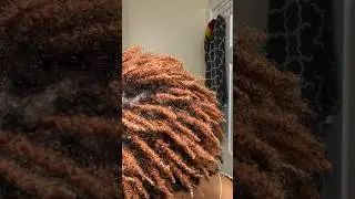Micro Locs or Small Traditional Locs? 🤔 #microlocs  #lowdensity #naturalhair
