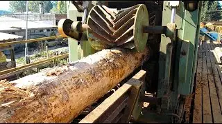 Amazing Automatic Wood Sawmill Machines Modern Technology - EXTREME Fast Wood Cutting Machine