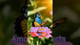 Amazing facts about butterfly🦋#wildlife #animals#ButterflyFacts #viralshorts#shorts #animalknowledge