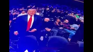 So, pretty sure that&rsquo;s Bill Burr&rsquo;s wife flipping off Donald Trump at the UFC.