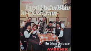 Original Oberkrainer Quintett Avsenik - Frohe Stunden