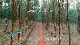 World Bicycle Day 2023