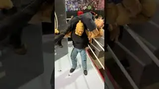 Brock F5s Popeye😳 #brocklesnar #popeye #figures #f5 #wrestling #wwe #wweelite #fyp #viral