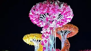 Flowers Festival l Qurum Park Muscat 🇴🇲