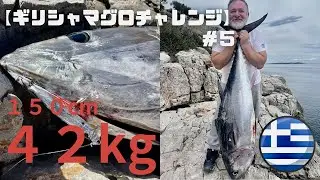 ジョンにもマグロが！ロックショア衝撃サイズ150cm 42kgのエーゲ海黒鮪！！！