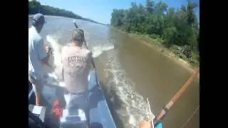 another long bow kill of flying carp!