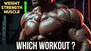 Push Pull Legs Workout Plan &ndash; सही तरीका जिससे Body बनेगी Strong & Fit | पूरी Detail में Explained!