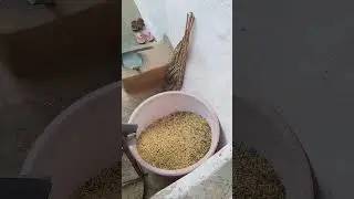 Soyabeen Greding #agriculture