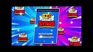 проходим чемпионат (1 часть)!!!