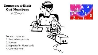Common 4-Digit Cut Numbers 20wpm