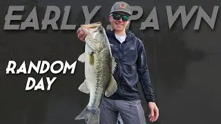 Random Day of Bass Fishing | Spawning Fish Found