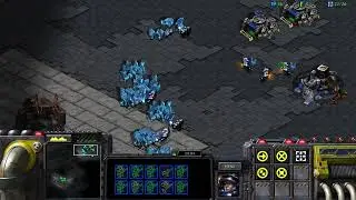 StarCraft  {Wasteland - Backwater Station - Desperate Alliance}