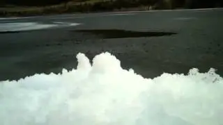 028 AVI Nature gone wild   YouTube