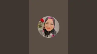 بدأت قناة 