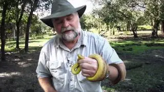 Buddy Davis Amazing Adventures - Swamp Man